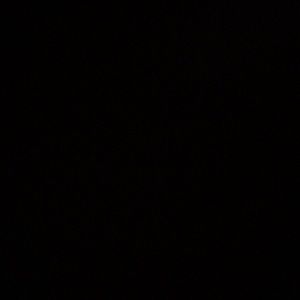 Meet your Posher, Daniela